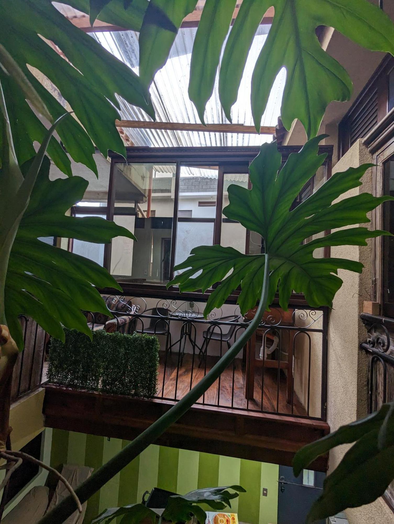 Casa Gonzalez Apartment Santiago Atitlan Ngoại thất bức ảnh